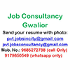Career Consultancy Logo