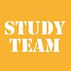 Study Team Company Logo