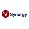 Synergy Innovation Pvt Ltd. Company Logo