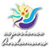 Experience Anda Company Logo