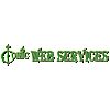 Iconic Web Services Company Logo