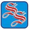 Skyway Solution logo