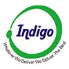 Indigo Placement Services Pvt Ltd Company Logo