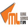 Missinglink Global Services Company Logo