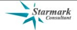 Starmark Consultant logo