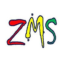 Zms Consultant Company Logo