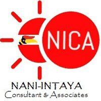 Nani-Intaya Consultant & Associates Company Logo