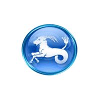 Capricorn Hr Consultancy Company Logo