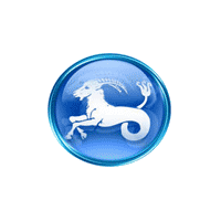 Capricorn Hr Consultancy Logo