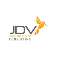 Jdv Consulting Logo