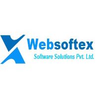 Websoftex Software Solution Private Limited Company Logo