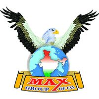 Max Vigil Security Expert Pvt Ltd Company Logo