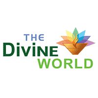 The Divine World Company Logo