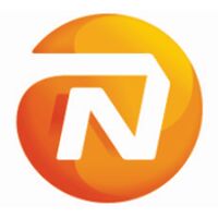 NN Placements Company Logo
