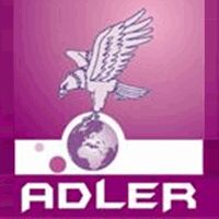 Adler Talent Solutions Pvt Ltd logo