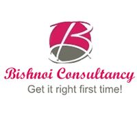 Bishnoi Consultancy logo