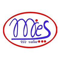 Monies Services Company Logo