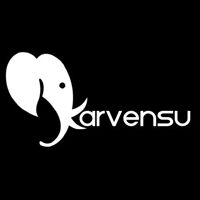 Karvensu Management Consultancy Company Logo