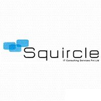 Squircle It Consulting Services Company Logo