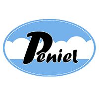 PENIEL HR SOLUTIONS Company Logo