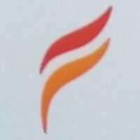 Fenix Management Consultant Company Logo