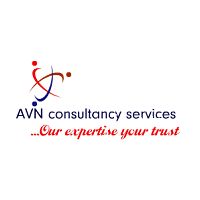 AVN Consultancy Services Pvt Ltd Company Logo