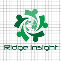 Ridge Insight Technology Company Logo