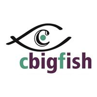 CBIGFISH E-Solutions Pvt. Ltd. Company Logo