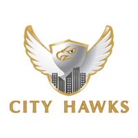city hawks Company Logo