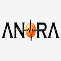 Anora Semiconductor Labs Pvt Ltd