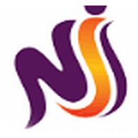 NiS Consultants Company Logo