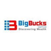 Big Bucks India Pvt Ltd Company Logo