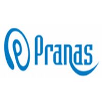 Pranas Technologies Company Logo