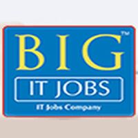 Big Ideas HR Consulting Pvt Ltd Company Logo