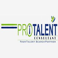 PROTALENT CONSULTANT Company Logo