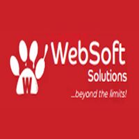 Websoft Solutions Company Logo