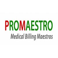 Promaestro Techsource Company Logo
