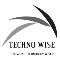 Techno Wise(India) Company Logo