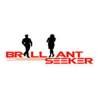 Brilliant Seeker Services logo
