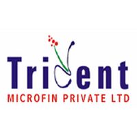 Trident Microfin Pvt Ltd Company Logo