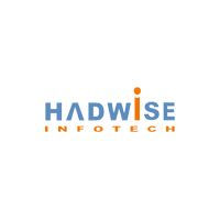 Hadwise Infotech Company Logo