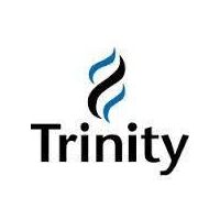 Trinity Infotech Pvt. ltd. Company Logo
