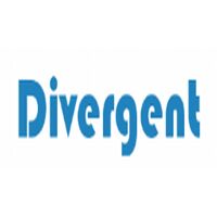 Divergent soft lab Company Logo