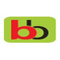 Bigbasket Company Logo