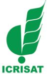 International Crops Research Institute for the Semi-Arid Tropics Company Logo