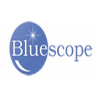 Bluescope Information Technology Pvt Ltd Company Logo