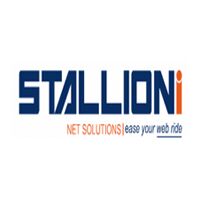 Stallioni net solutions Company Logo