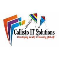Callisto IT Solutions logo