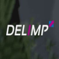 DELIMP IT Services Company Logo