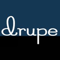 Drupe Foods India Pvt Ltd logo